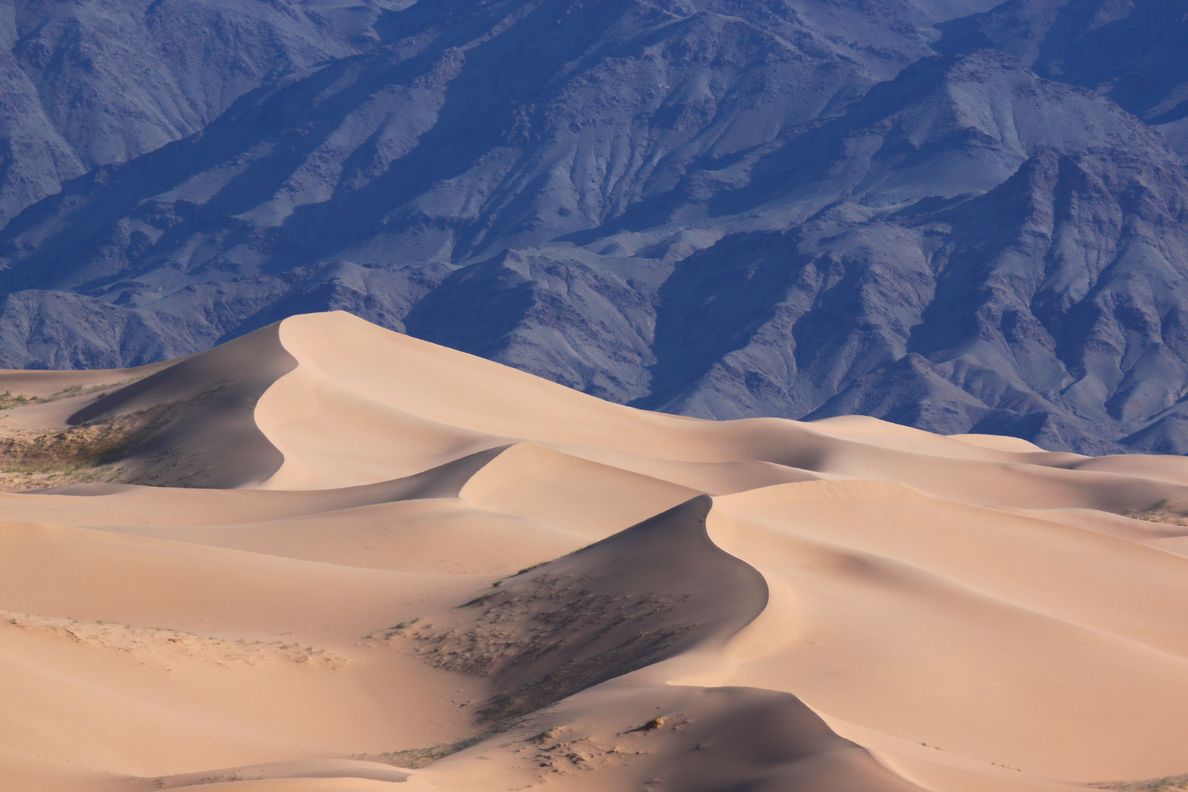 Enfin des dunes