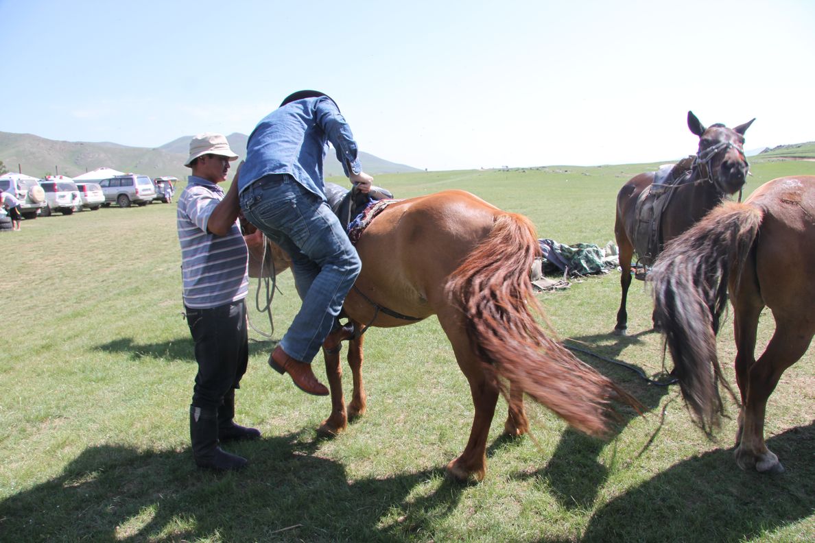 Michel fait du cheval