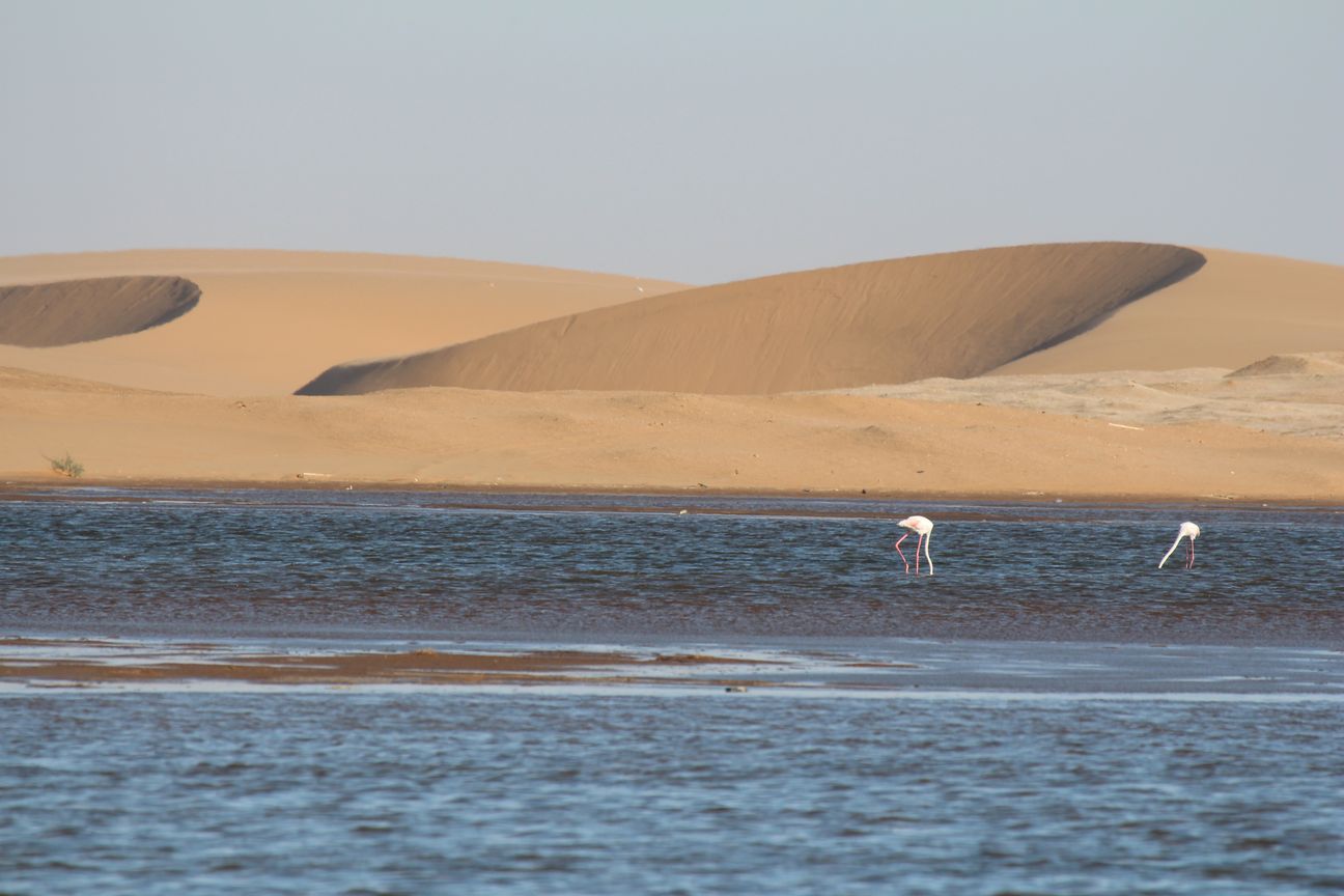 walvis bay