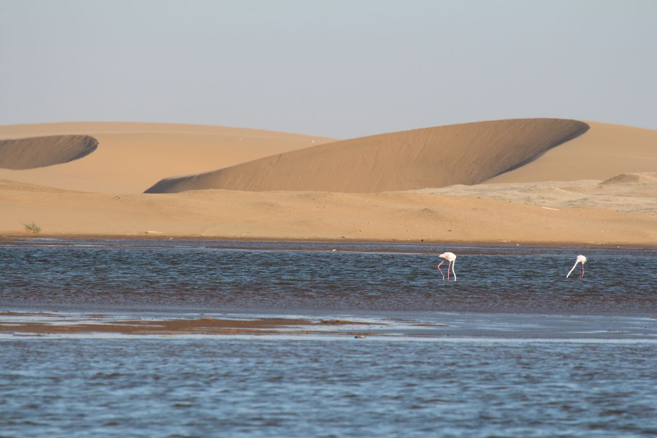 walvis bay