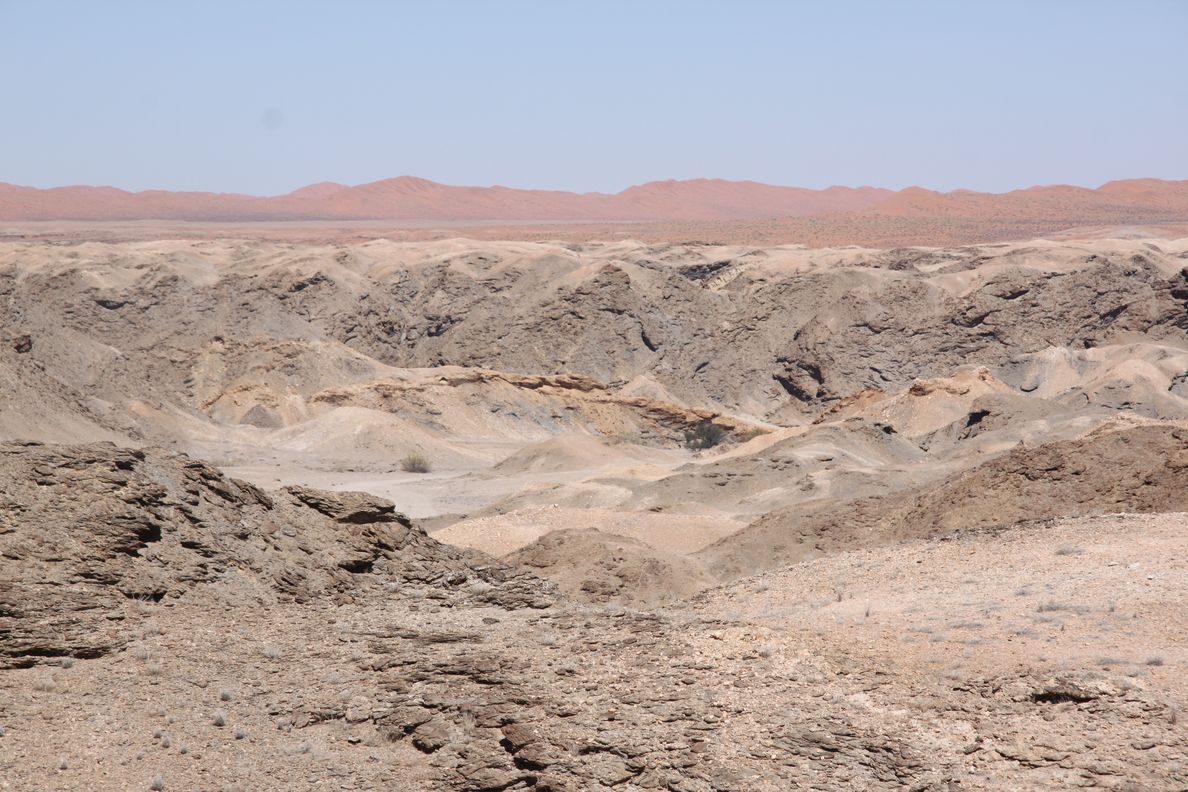 Le namib naukluft