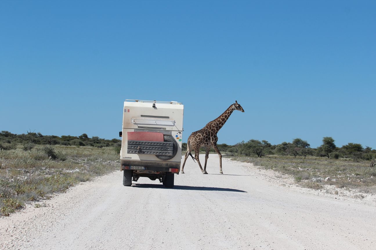 Trois jours dans la réserve d’Etosha