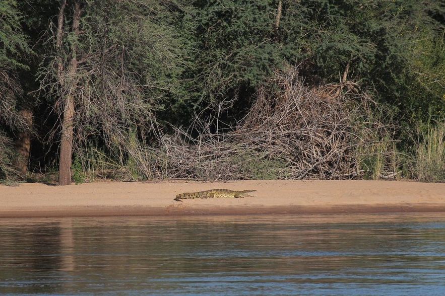 Camping des crocodiles.