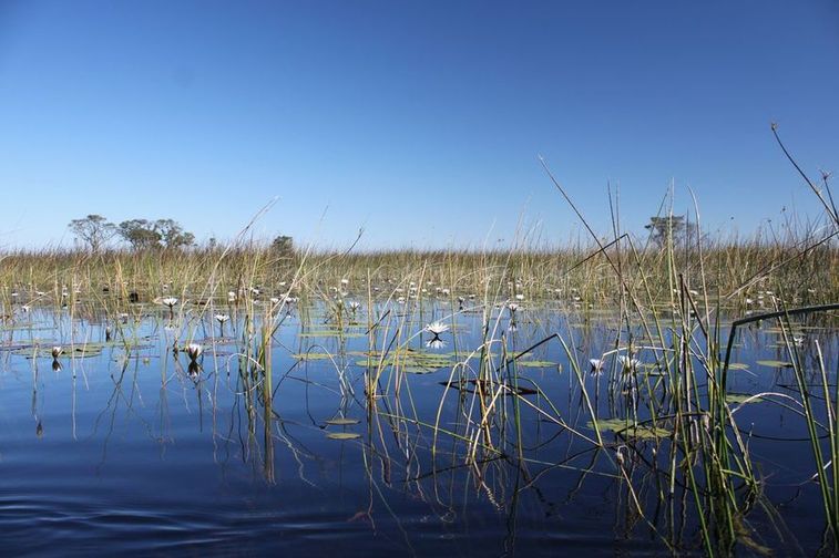 Le delta de l’Okawango