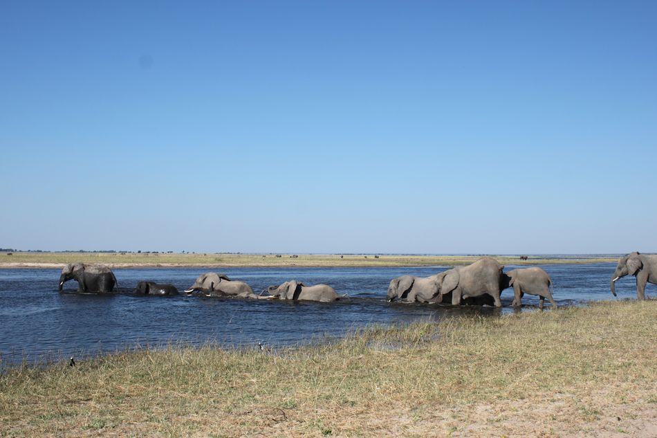 Chobe avec Mireille et André.