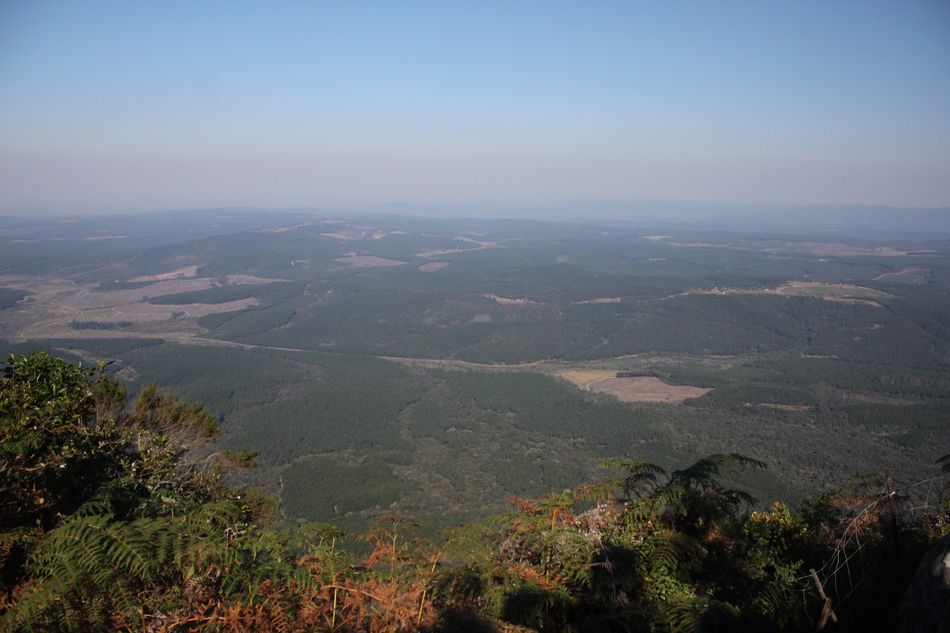 bref passage en Afrique du Sud