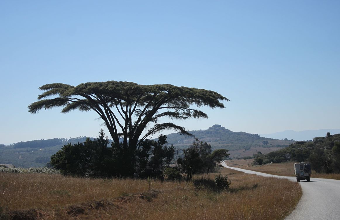 Réserve de Nyanga.