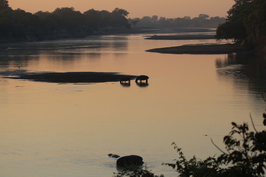 South Luangwa