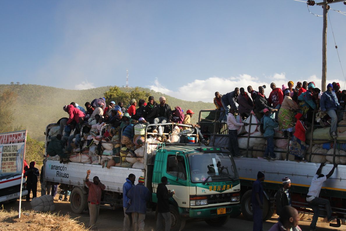 Premiers jours en Tanzanie